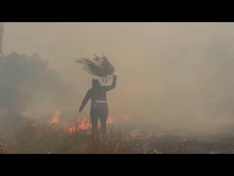 Some 58 forest fires are reported across fifteen Mexican states