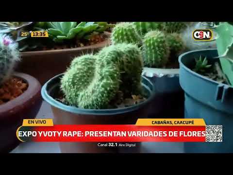 Expo yvoty: Presentan variedades de flores