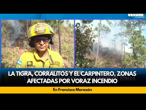 La Tigra, Corralitos y el Carpintero, zonas afectadas por voraz incendio, en Francisco Morazán