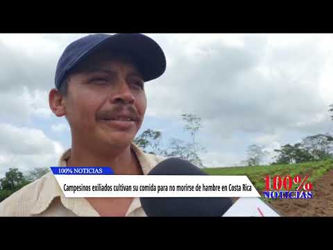 Campesinos exiliados cultivan su comida para no morirse de hambre en Costa Rica