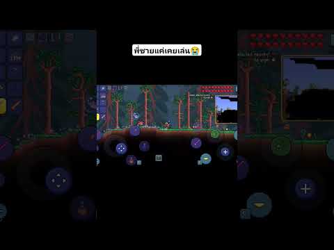 พี่ชายเเค่เคยเล่นterrariamem