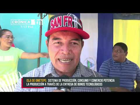 Productores y productoras de Ometepe reciben bonos de arroz - Nicaragua