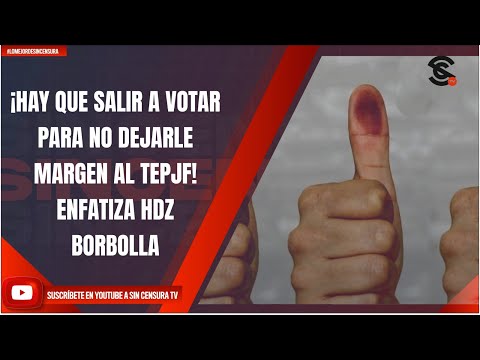 ¡HAY QUE SALIR A VOTAR PARA NO DEJARLE MARGEN AL TEPJF! ENFATIZA HDZ BORBOLLA