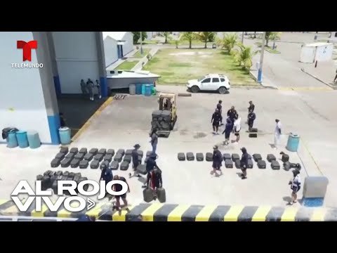 Decomisan toneladas de cocaína en cajas de aguacate en Colombia