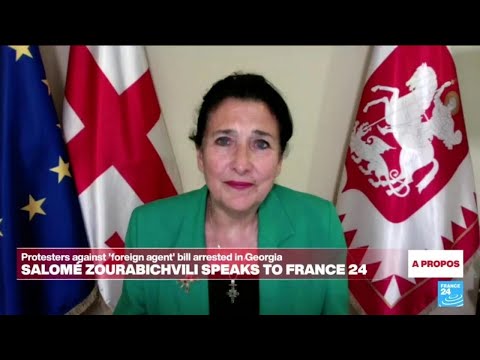 Foreign agents law an attempt to 'suppress critical voices', Georgian president tells FRANCE 24