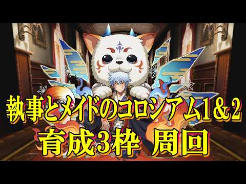 【執事とメイドのコロシアム1＆2】銀時スオウ衣装編成で周回！！育成3枠！！【パズドラ】【執事とメイドとパズドラカフェ】【+891】