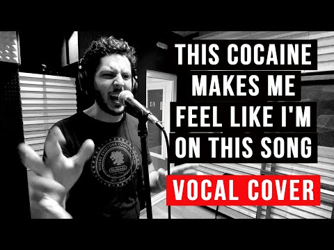 This Cocaine Makes Me Feel Like I'm On This Song  [Vocal Cover] System of a Down