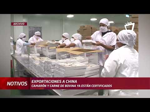 Camarón y carne bovina nicaragüense supera auditorias internacionales para exportar a China