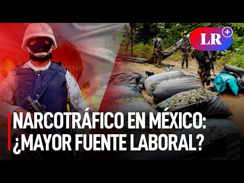 Los CÁRTELES de la DROGA en MÉXICO: un inesperado GIGANTE EMPLEADOR