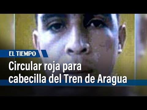 194 países buscan a alias 'Niño Guerrero': el principal cabecilla del Tren de Aragua | El Tiempo