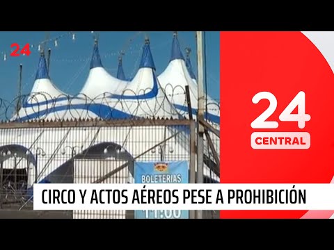Circo habría realizado actos aéreos a pesar de prohibición tras accidente de Hombre Bala | 24