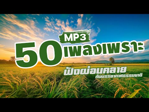 รวมเพลง50เพลงเพราะMP3ฟังผ่