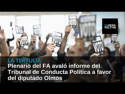 Plenario del FA avaló informe del Tribunal de Conducta Política a favor del diputado Olmos