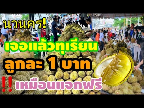 ทุเรียนหมอนทองลูกละ1บาทขายได้ย