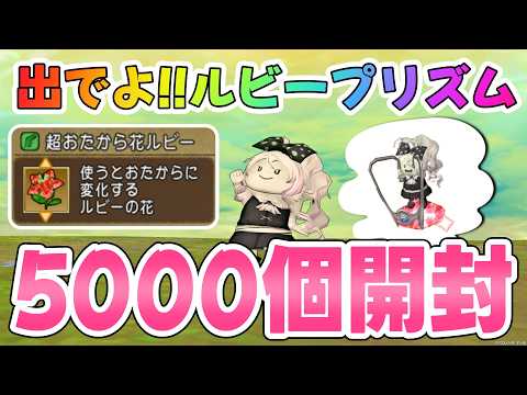 【ドラクエ10】レアアイテム「ルビープリズム」が欲しい🌟超おたから花ルビー5000個開けてみた！【DQ10】