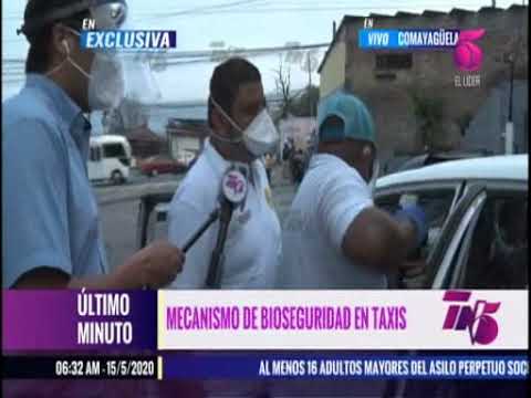 TN5 Taxi Bioseguridad