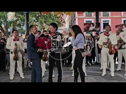 PEDRO FERNÁNDEZ Momentos únicos suceden cuando  se presenta en GARIBALDI Tienes que verlo