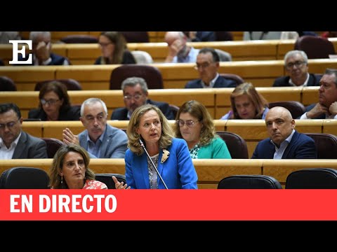 Directo | Sesión de control en el senado con la participación de Nadia Calviño | EL PAÍS