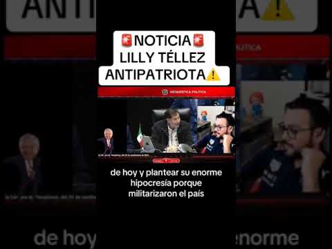 Lilly Téllez eres una antipatriota !! #EstadisticaPolitica #NotitopsMx #BenditasRedesSociales