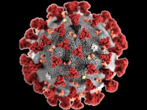 Coronavirus causa 1,426 muertos en China/ Debate en De Mañana
