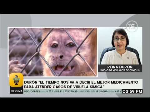 Emergencia sanitaria por viruela del Mono declara la OMS