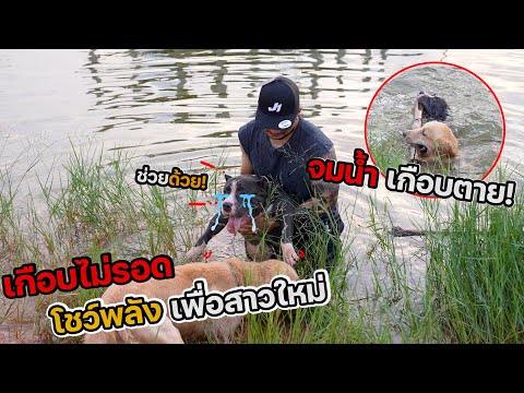 อู้ฟู่จมน้ำ!!-โชว์พลังหาเมีย-เ อู้ฟู่จมน้ำ!!-โชว์พลังหาเมีย-เ