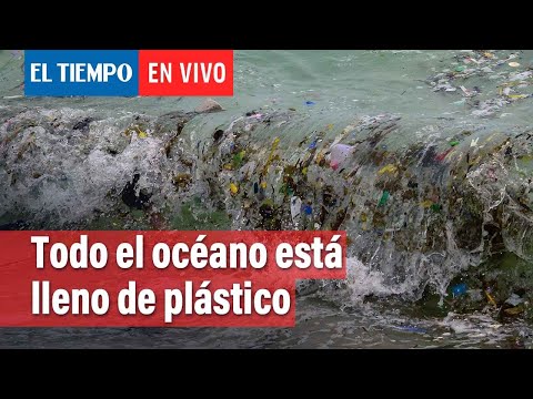 Todo el océano está lleno de plástico, ¿y ahora; qué podemos hacer? | El Tiempo