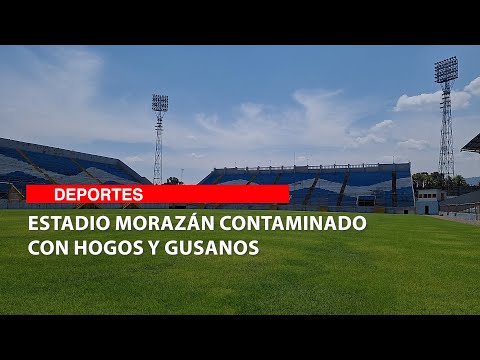 Estadio Morazán contaminado con hogos y gusanos