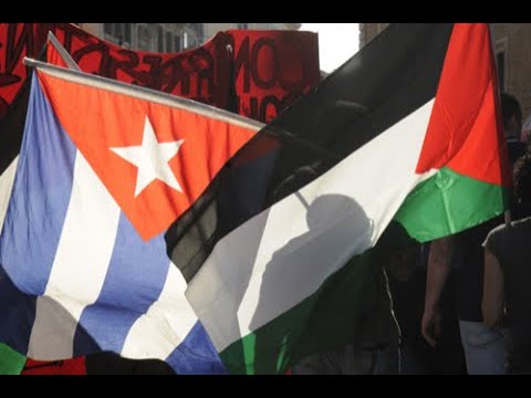 Artistas cubanos en solidaridad con Palestina
