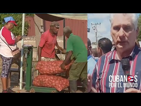 Producto “papa” llega a Santiago de Cuba, mientras Canel llama “vagos” a los orientales en Baracoa