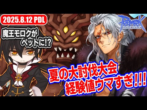 ペット"モロク"実装 / サマーバケーション2週目 | 𝐏𝐚𝐭𝐜𝐡𝐃𝐚𝐲𝐋𝐢𝐯𝐞 2025.8.12 | RO - ラグナロクオンライン