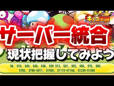 【キノコ伝説】サーバー統合後の世界はどうですか？はっぴはっぴはっぴー【検証系Youtuber】