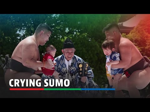 100 crying babies face off at annual sumo festival in Tokyo temple | ABS-CBN News