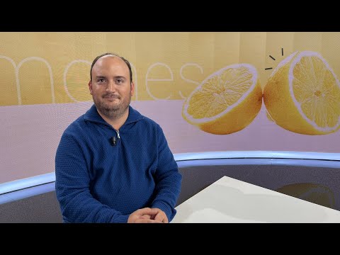 Pedro Gomariz (COAG): Más del 50 % de la producción de limón se está tirando al suelo