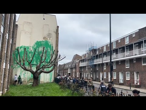 British street artist Banksy claims a tree mural on side of building in north London