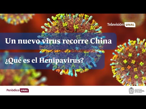 Un nuevo virus recorre China ¿Qué es el Henipavirus? | #PeriódicoUNAL