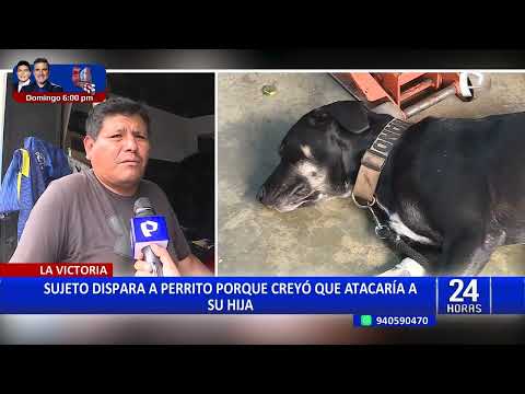 Sujeto dispara a perro porque creía que atacaría a su menor hija en La Victoria