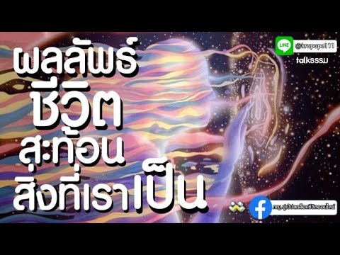 ผลลัพธ์ชีวิตสะท้อนสิ่งที่เราเ