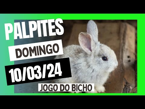 Palpite*para o dia 10/03/24*JOGO*DO BICHO*de hoje*Palpite showTODAS LOTERIAS