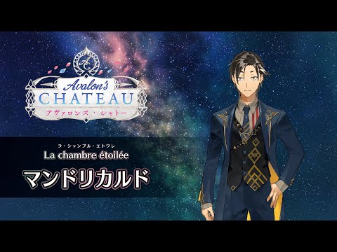※イヤホン推奨/一定音量オフ推奨※【FGO Fes. 2025】「La chambre étoilée（星の間）」マンドリカルド編 体験映像