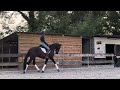 Dressuurpaard **NEW VIDEO** Brave talentvolle merrie