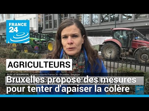 Bruxelles propose plusieurs mesures pour tenter d'apaiser la colère du monde agricole • FRANCE 24