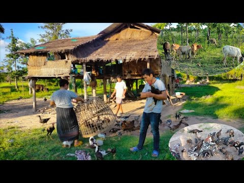 #บรรยากาศยามแลงอยู่เถียงนาพาสุ #บรรยากาศยามแลงอยู่เถียงนาพาสุ