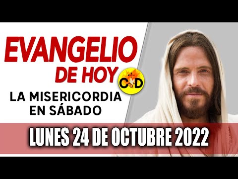 Evangelio del día de Hoy Lunes 24 Octubre 2022 LECTURAS y REFLEXIÓN Catolica | Católico al Día