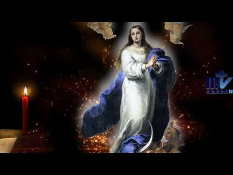 Oración a María | Día 1 | Magnificat.tv