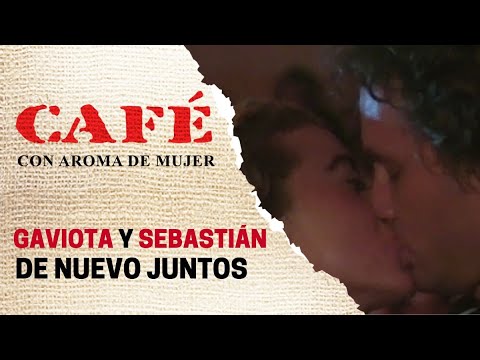 Sebastián le propone a Gaviota que se casen en el Eje Cafetero | Café, con aroma de mujer 1994