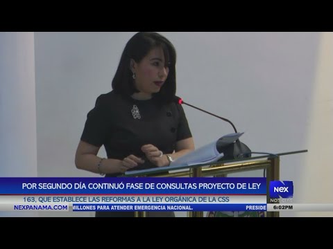 Por segundo di?a continuo? fase de consultas del proyecto de ley 163