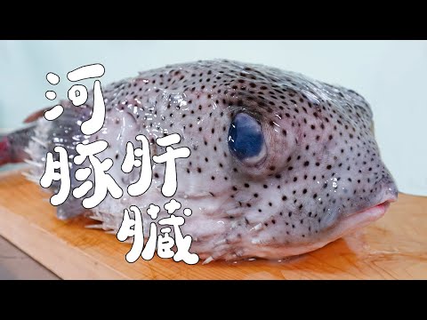 冬天的河豚肝臟也太巨大了吧！超級肥美！｜RICOの食材圖鑑