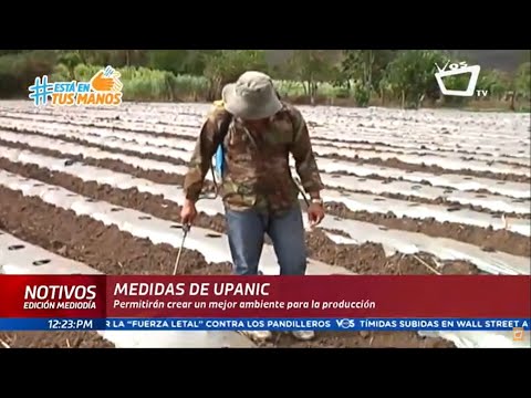 UPANIC presenta acciones para garantizar la producción agrícola del país frente a la pandemia