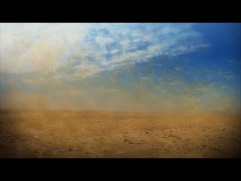 Keeping It Green - The Benefits Of Saharan Dust